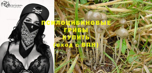 амф Протвино